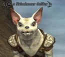 A Skindancer defiler