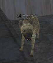 Hermetius