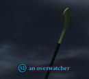 An overwatcher