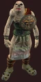 Nights of the Dead Ettin Costume (Equipped).png