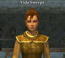 Vida Sweeps