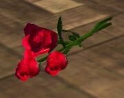 Three Red Roses (Visible)