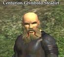 Centurion Grimbold Steadirt