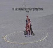 Galebreaker pilgrim