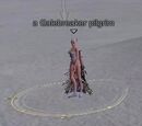 A Galebreaker pilgrim