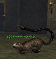 Venomouse Queen