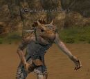 An Alliz Raef Ew shaman