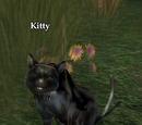 Kitty