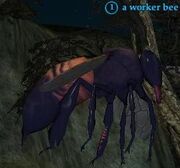 Worker bee