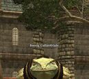 Foorog Gallantblade