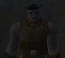 Researcher Gromk