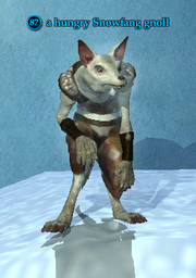A hungry Snowfang gnoll