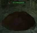 A rotting globule