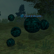 A seed of obscurity