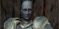 Fortress Commander Labib