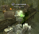 A necrotok