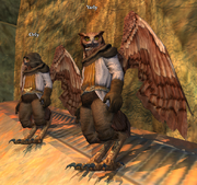 Orly and Yarly