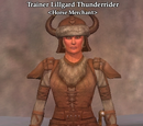 Trainer Lillgard Thunderrider