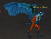 A Haoaeran ritualist