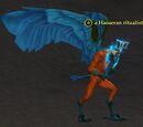 A Haoaeran ritualist