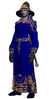 Dierdra Everling's Robes of Illuination (Visible)
