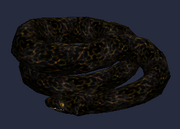 Night slither (Visible)