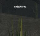 Spiteweed