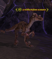 A withertalon scourer