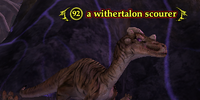 A withertalon scourer