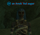 An Anuk' Sul augur (Silent City)