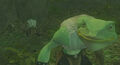 Frogloks - The Long Journey Home 03.jpg