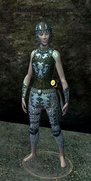 A Blackshield quartermaster