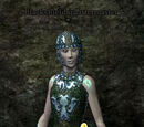 A Blackshield quartermaster