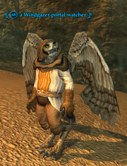A Windgazer portal watcher