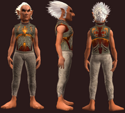 Breastplate of the Last Rite (Equipped)