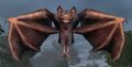 Race bat.jpg
