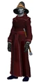 Dark Robe of the Magistrate (Visible).jpg