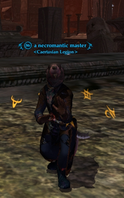 A necromantic master
