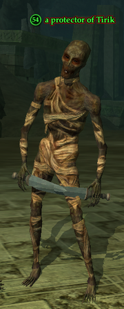 A protector of Tirik