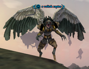 A vultak raptor