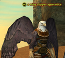 A wing clipper apprentice