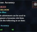 Focus: Accuracy (Blue)
