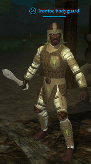 Irontoe bodyguard
