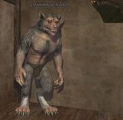 Moonshriek shanker