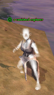 A vanished explorer
