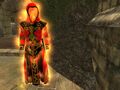 Igneous Savant (Adept).jpg