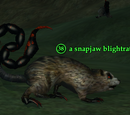 A snapjaw blightrat