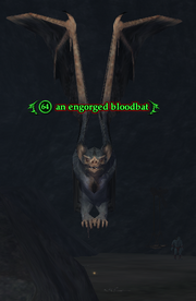 An engorged bloodbat