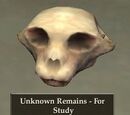 Hua Mein Craft: Stolen Remains