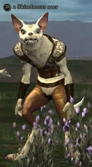Skindancer seer